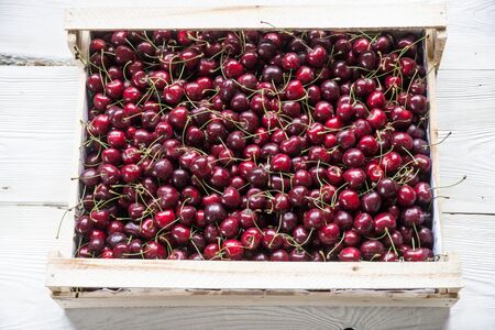 Fresh cherries in the box selling in the market.の写真素材