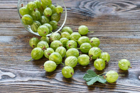 A scattering of fragrant ripe green gooseberry on a rustic wooden backgoundA scattering of fragrant ripe berries.の写真素材