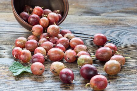 A scattering of fragrant ripe red  gooseberry on a rustic wooden backgoundの写真素材