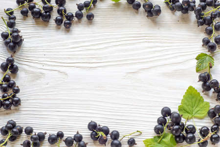 Berries on Wooden Background. Summer or Spring Organic Berry over Wood. Black currant. Agriculture, Gardening, Harvest Conceptの写真素材