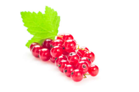Red Currant with leaf, isolated on white backgroundの写真素材