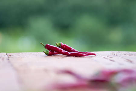 Red chilli pepper on wooden table, summer garden background.