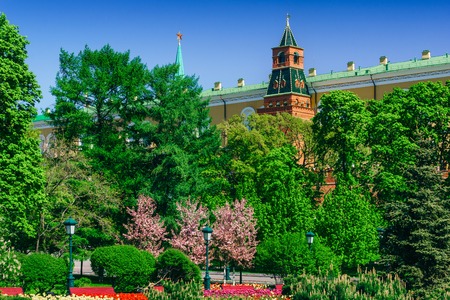 View on Moscow Red Square Kremlin tower, Kremlin red brick wall, green trees and flowers of Alexander Garden (Aleksandrovskiy Sad). Famous sightseeing of Moscow Kremlin Red Squareのeditorial素材