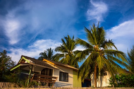 Tropical summer vacation background with coconut Palm trees and bungalow hut, vibrant blue skyのeditorial素材
