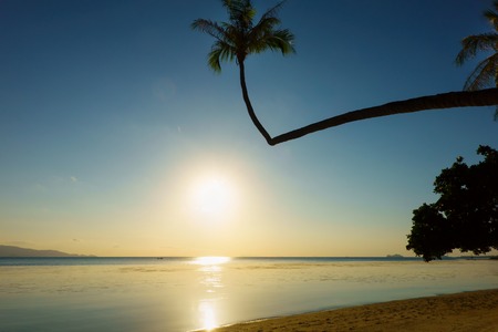 Beautiful tropical beach with silhouettes of palm trees at sunset. Travel background.の写真素材