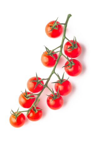 Ripe fresh cherry tomatoes on Branch Isolated on White Backgroundの写真素材