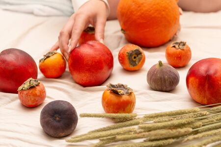 Woman hand  holds peach in a bed, autumn color fruits. Copy space on the bed