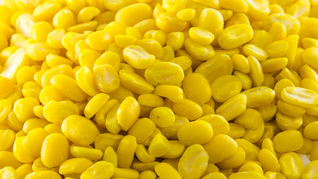 yellow bean の写真素材
