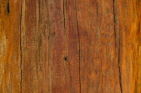 wood texturesの写真素材