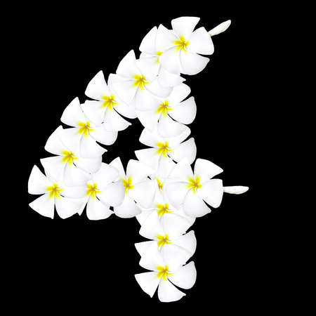 Plumeria flower arabic number on black backgroundの写真素材