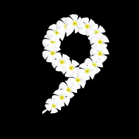 Plumeria flower arabic number on black backgroundの写真素材