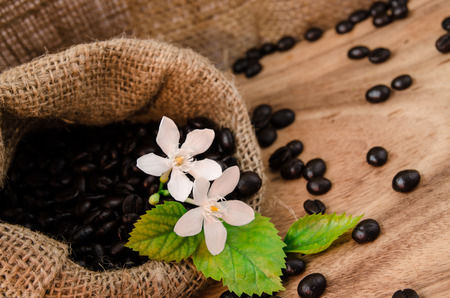 coffee beans in sack on wooden backgroundの写真素材
