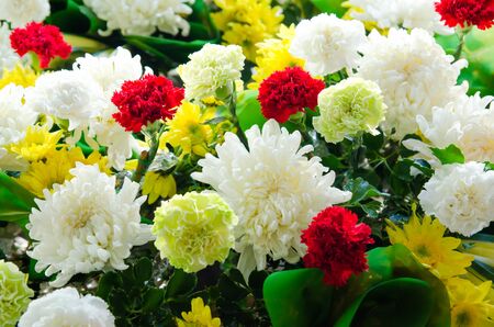 Bunch of flowersの写真素材