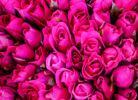 Bunch of roseの写真素材