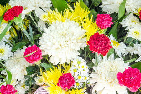 Bunch of flowersの写真素材