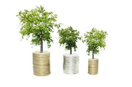 three Coins and plant, isolated over white backgroundの写真素材