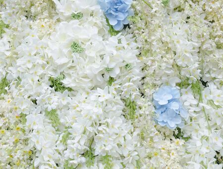 Bunch of flowers