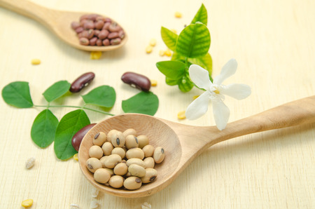 bean on wooden spoon on wood board backgroundの写真素材