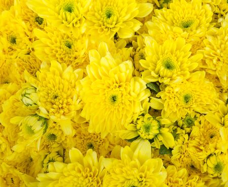 Bunch of flowersの写真素材