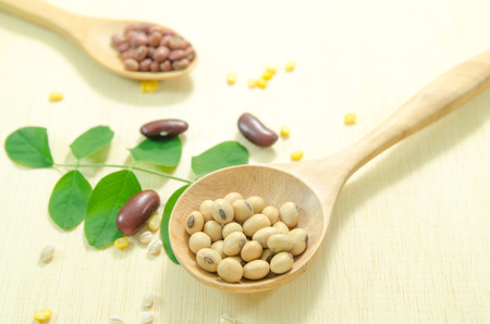 bean on wooden spoon on wood board backgroundの写真素材