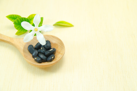 bean on wooden spoon on wood board backgroundの写真素材