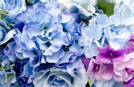 Bunch of blue flowersの写真素材
