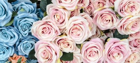 Bunch of flowersの写真素材