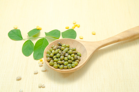 bean on wooden spoon on wood board backgroundの写真素材