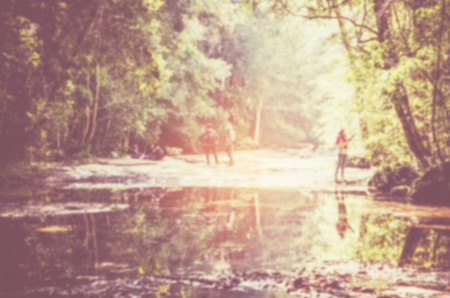 retro deep forest with stone way to walk inの写真素材