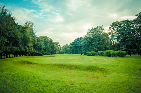 park landscapeの写真素材