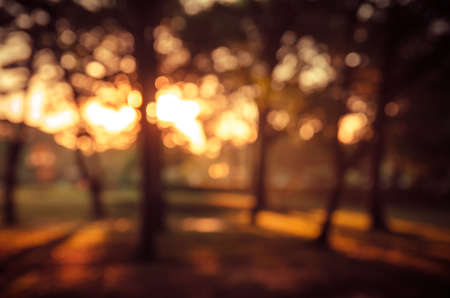 beautiful blurred abstract nature background in sunsetの写真素材