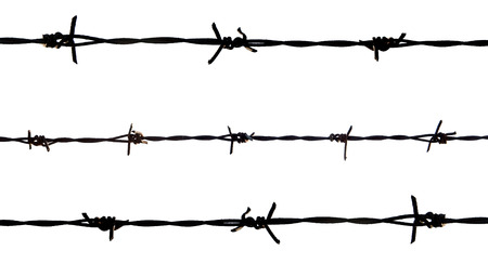 barbed wire on white back groundの写真素材