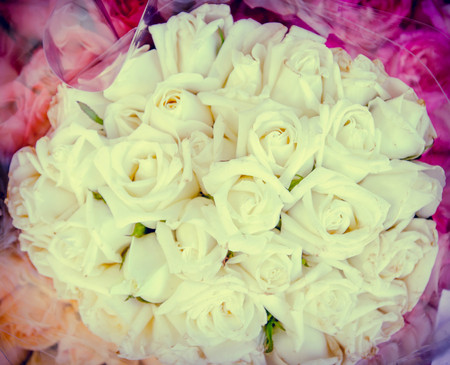 bunch of rose , vintageの写真素材