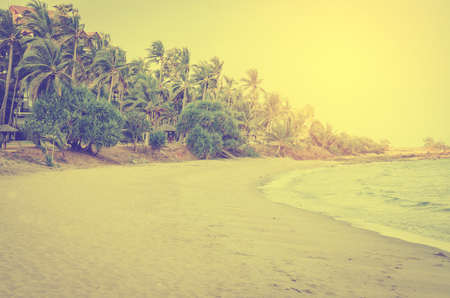sea beach and coconut trees ,summer background ,vintage toneの写真素材