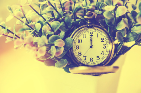 vintage pocket watchの写真素材