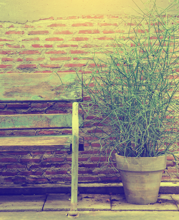 brick wall with planの写真素材