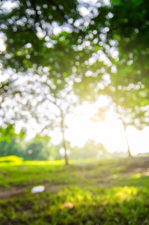 defocused bokeh background of garden with blossoming trees in sunny day, backdropの写真素材