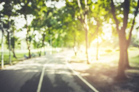 defocused bokeh background of garden with blossoming trees in sunny day, backdropの写真素材