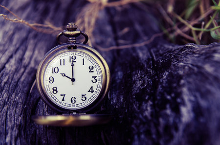 vintage pocket watch on wood logの写真素材