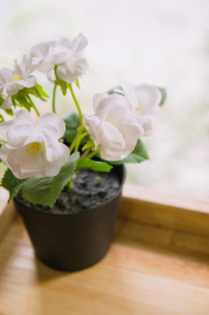 Flowers pots decoration on wooden tableの写真素材