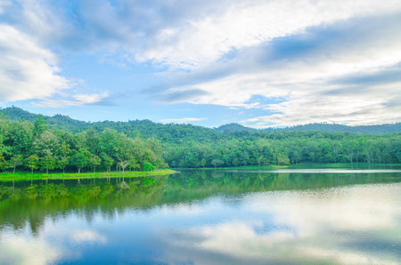 fresh green landscape mountain の写真素材