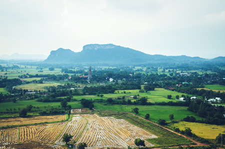 fresh green landscape mountain in Chiang Mai northen in thailandの写真素材