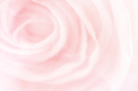 abstract nature flower backgroundの写真素材