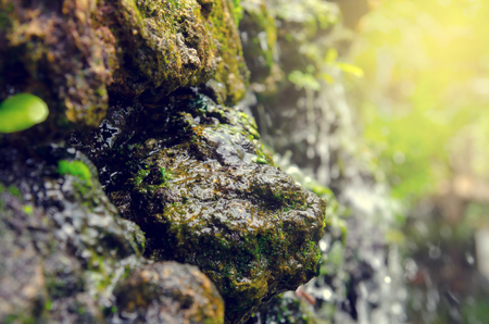 closeup of stone in gardenの写真素材