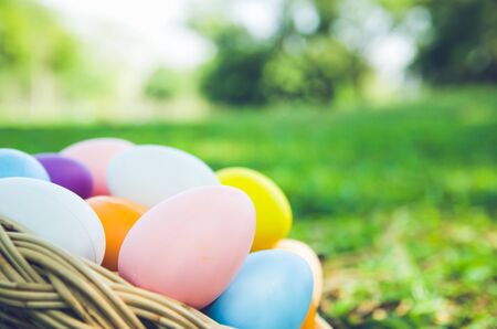 Easter eggs in grass against blurred green background. Spring holidays conceptの写真素材