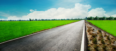 asphalt road through the green field and clouds on blue sky in summer dayの写真素材
