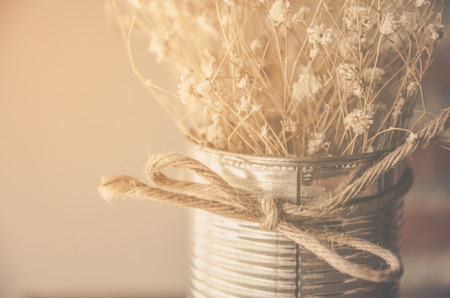 vintage flower in flower pot process in vintage toneの写真素材