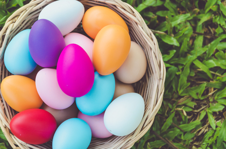 Easter eggs on green grass. Spring holidays conceptの写真素材