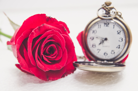 Red Rose and a pocket watch on a napkin embroidered with a crossの写真素材