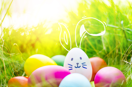 Easter eggs cute bunny. Funny happy in easter day on wood background の写真素材